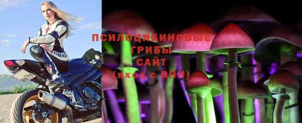 а пвп мука Армянск