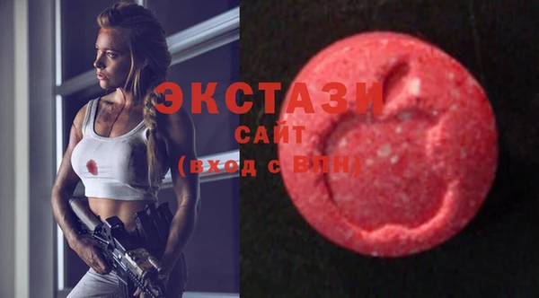 ГАЛЛЮЦИНОГЕННЫЕ ГРИБЫ Аркадак