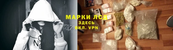 ГАЛЛЮЦИНОГЕННЫЕ ГРИБЫ Аркадак