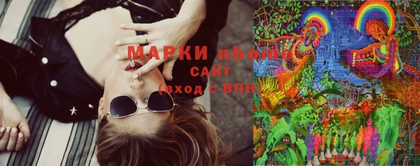 крисы Арсеньев