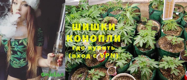 крисы Арсеньев