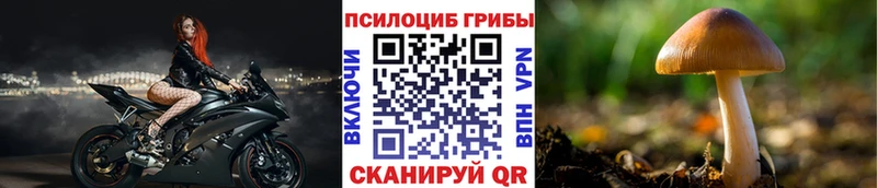 Галлюциногенные грибы MAGIC MUSHROOMS  купить  цена  Гвардейск 